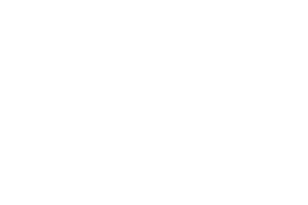 Silver Springs Logo